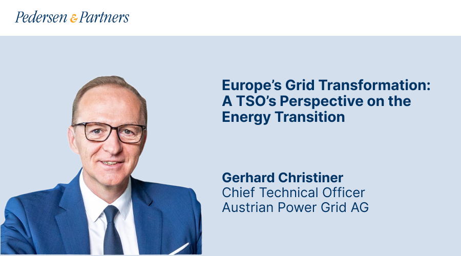 Europe’s Grid Transformation: A TSO’s Perspective on the Energy Transition