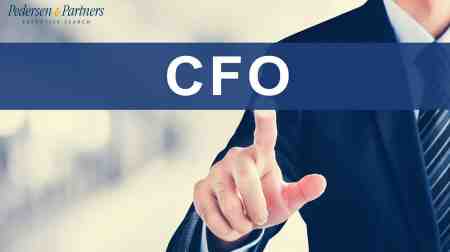 Comprehensive profile of a successful CFO  - Pedersen and Partners Executive Search